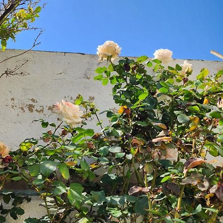 Duplex Bien Equipe Securise Avec Jardin Et Veranda La Marsa Buitenkant foto