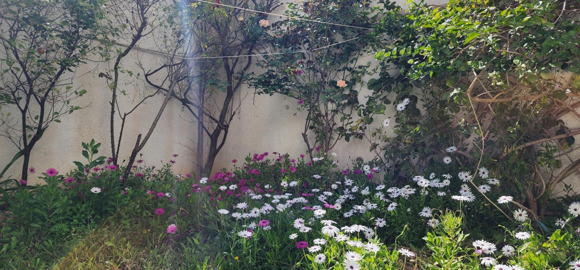 Duplex Bien Equipe Securise Avec Jardin Et Veranda La Marsa Buitenkant foto