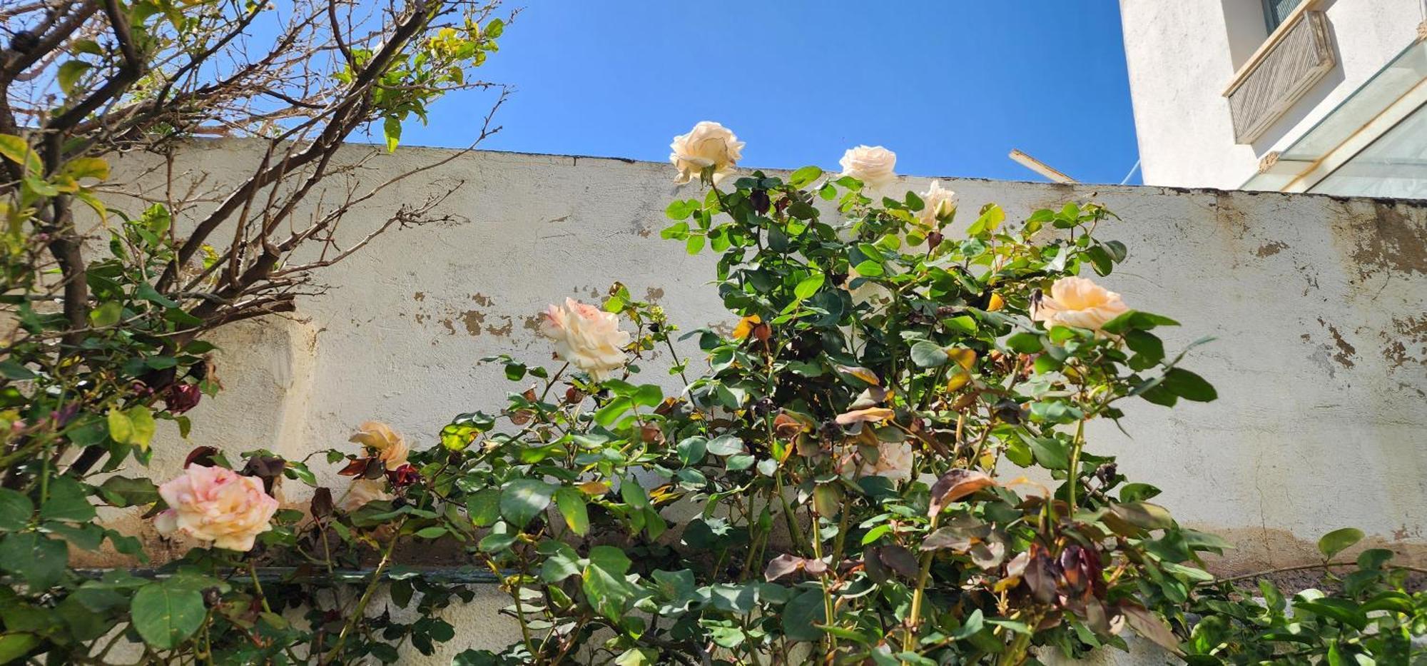 Duplex Bien Equipe Securise Avec Jardin Et Veranda La Marsa Buitenkant foto