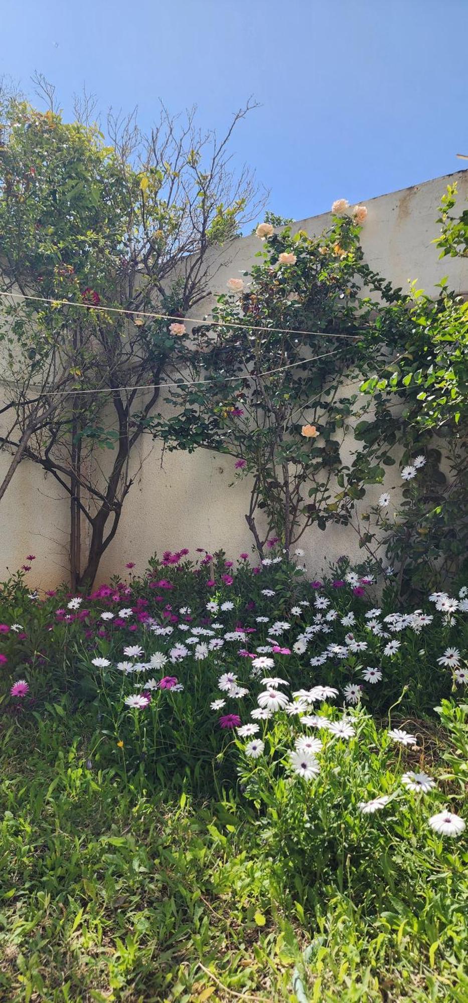 Duplex Bien Equipe Securise Avec Jardin Et Veranda La Marsa Buitenkant foto